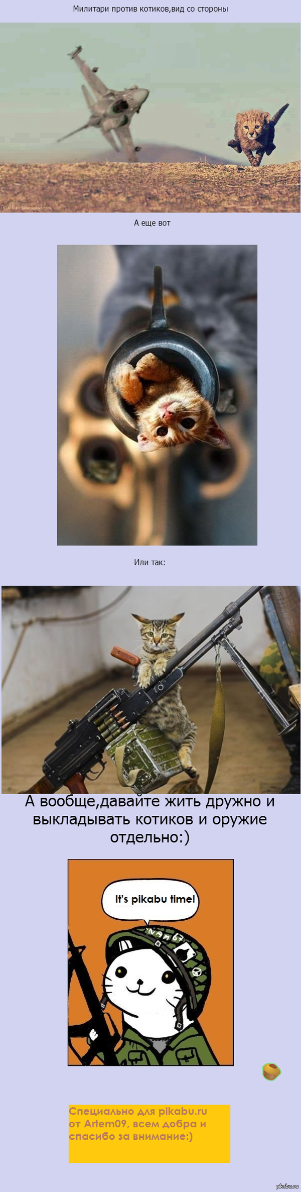 Милитари против котиков,вид со стороны