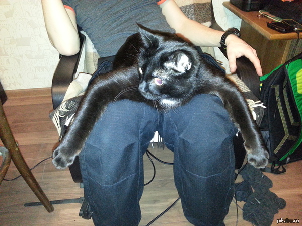 ���, �������� �����:)