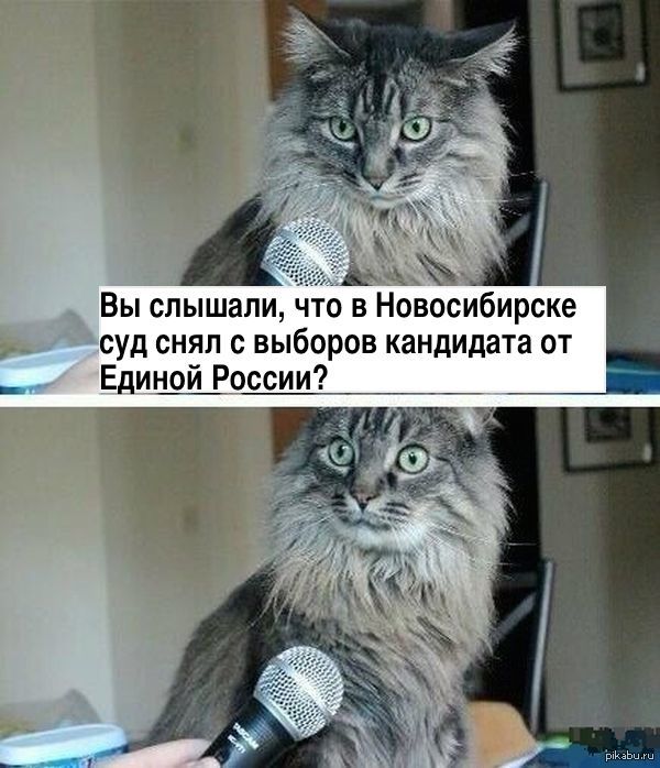 � ������������ ����������� ���?