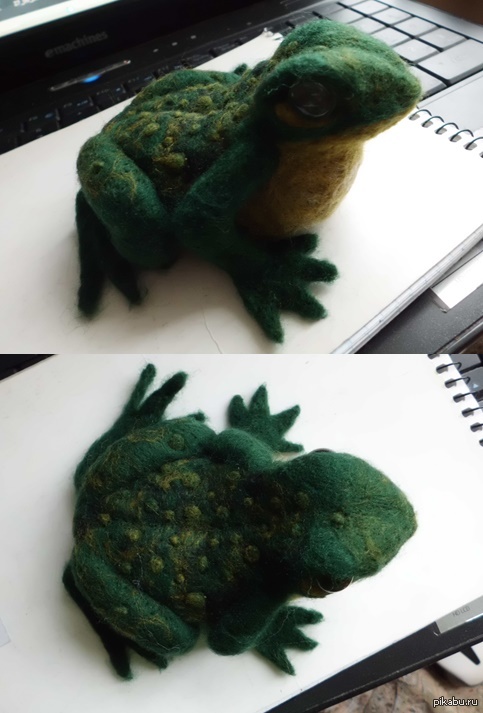 Шерстяная лягушатина