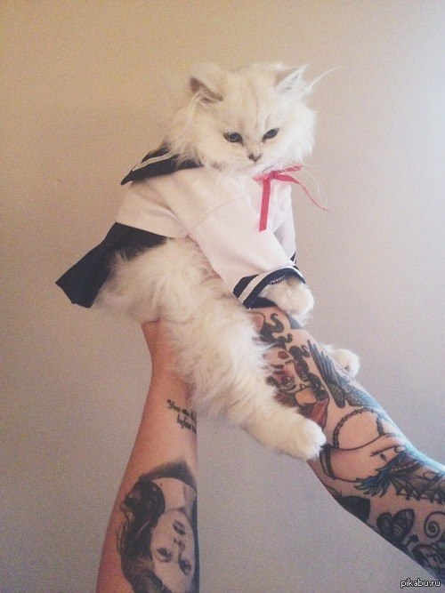 ����� - �������=3