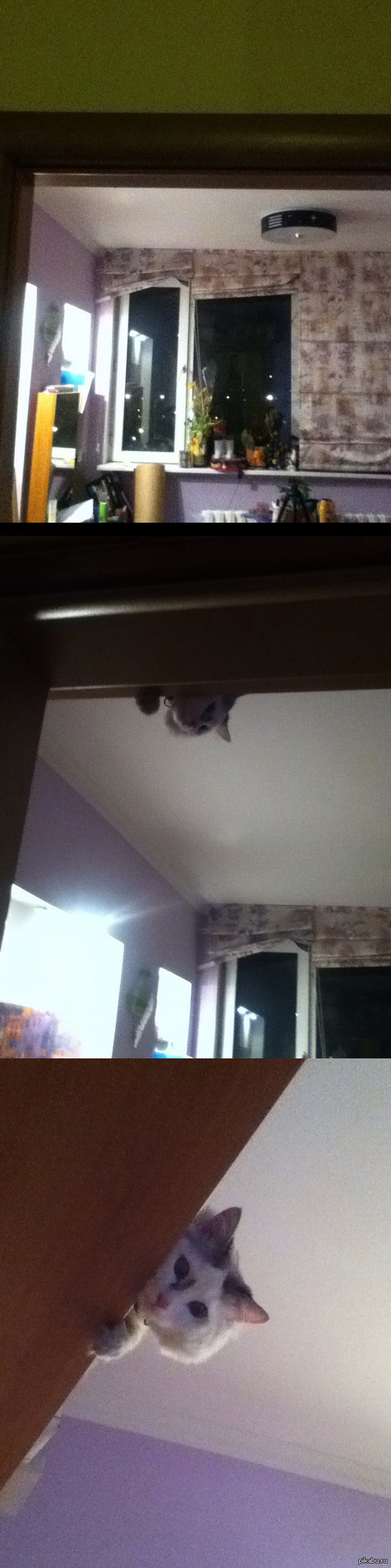 Захожу в комнату а там...