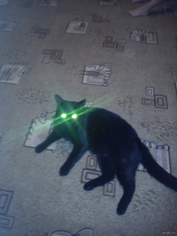 ���� ������� ����)