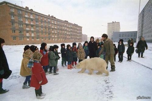 They are Russian)) - Russia, Animals