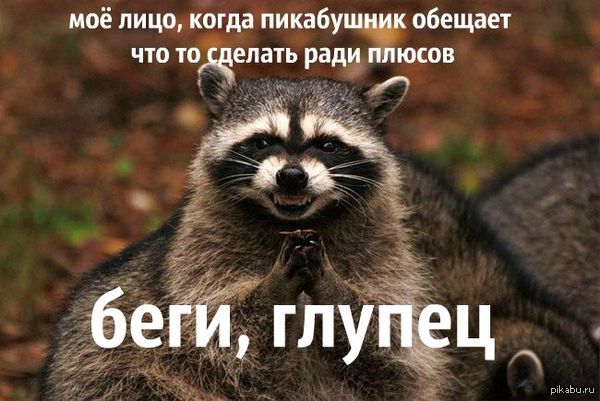 ������ ����� �������� ���� �� ���� ������� �������� �� ������