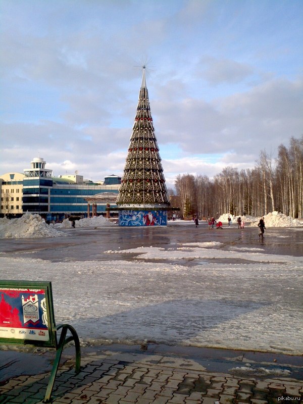 А вы вынесли ёлку?