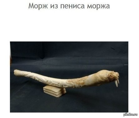 Член Дольше Стоял