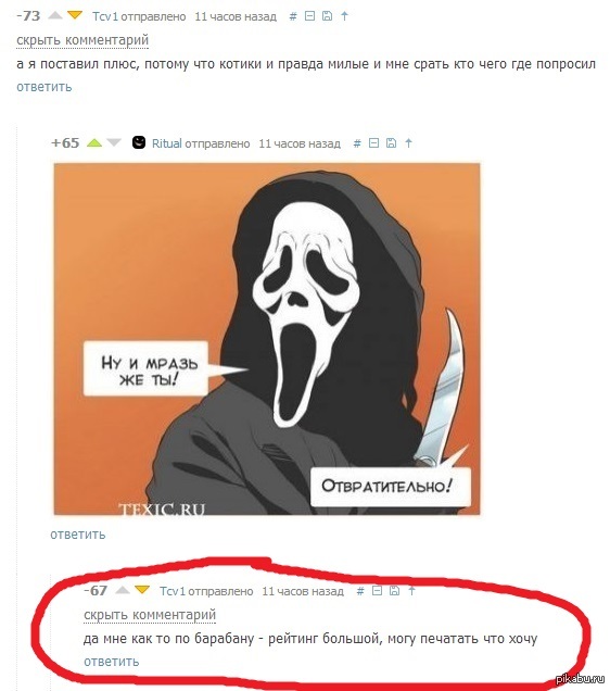 Отвратительно мем. Ну и что ты мне сделаешь пикабу. Ципсошник и пикабушник