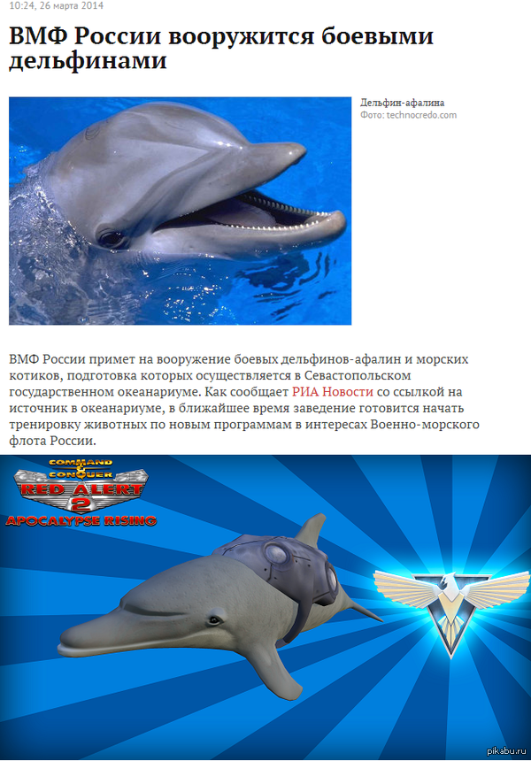 ��������... �������� � ��� ��...