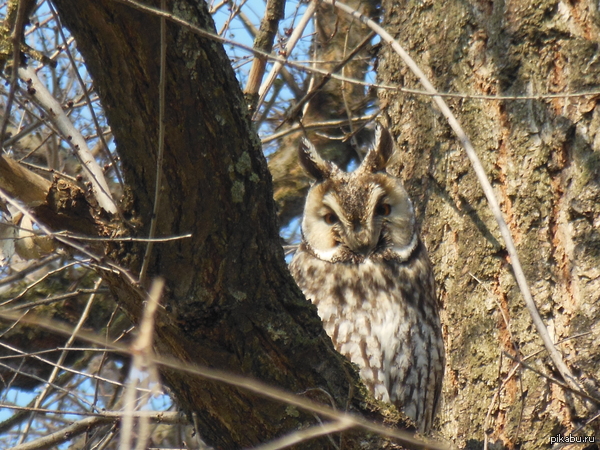 � ��� �� ������ ���������� �������!