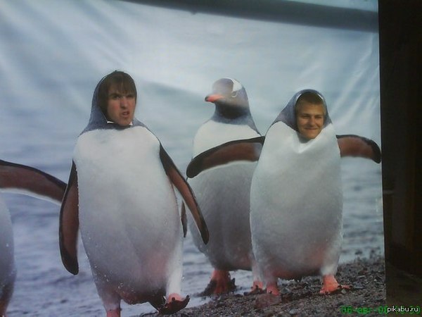   :) , !        ,       .