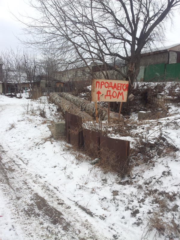 Бомжи-преприниматели