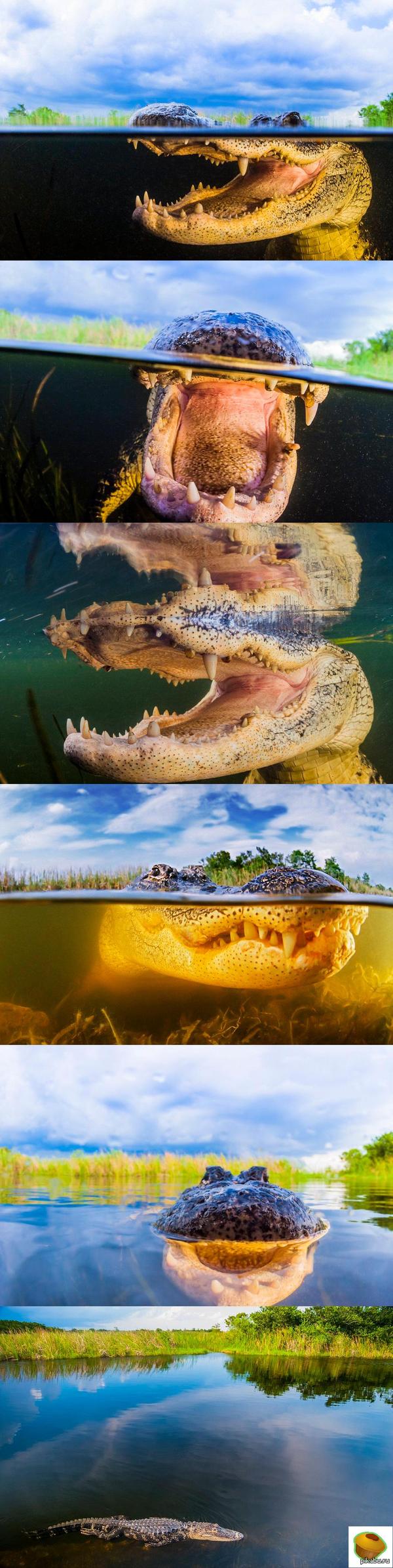 ���������� ���������� ��� �����