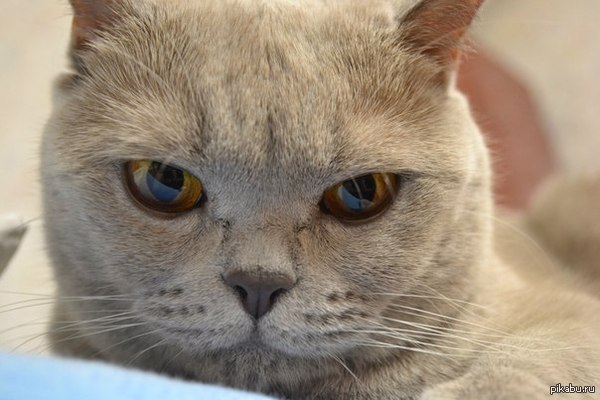 ���� ���� ����