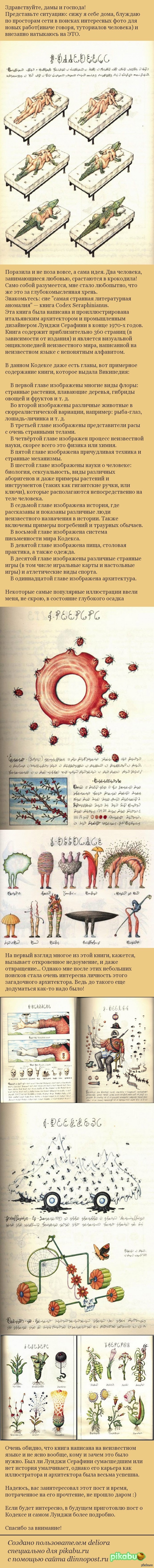 Сodex Seraphinianus, или необычная находка | Пикабу