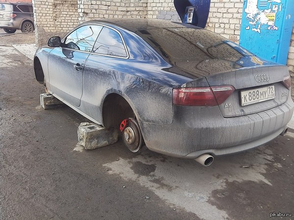 Tyumen Robin Hood! - Wheels, Theft, In contact with, Audi