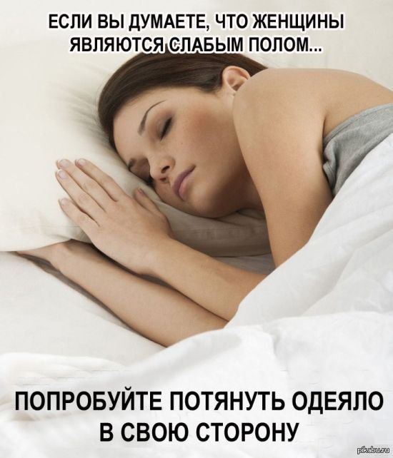 ����� ��������