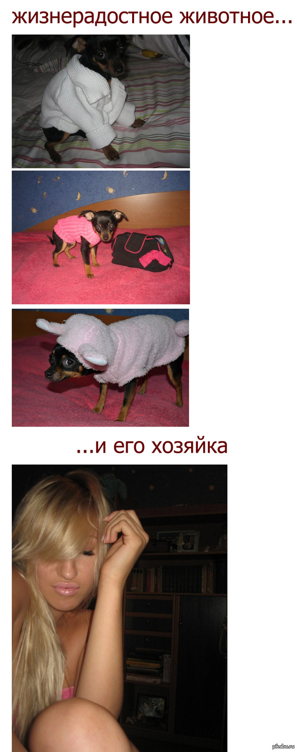 Мне его жалко!