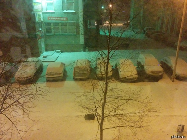 ����� ���� ����������