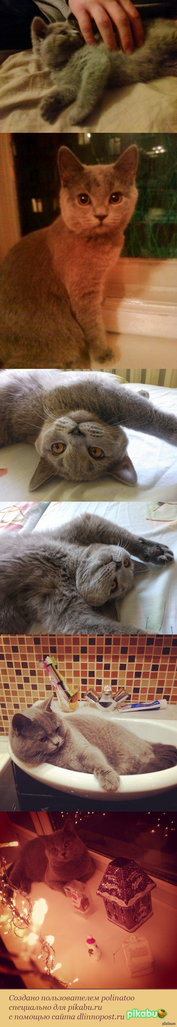 ����� ���������� ���� ������:)