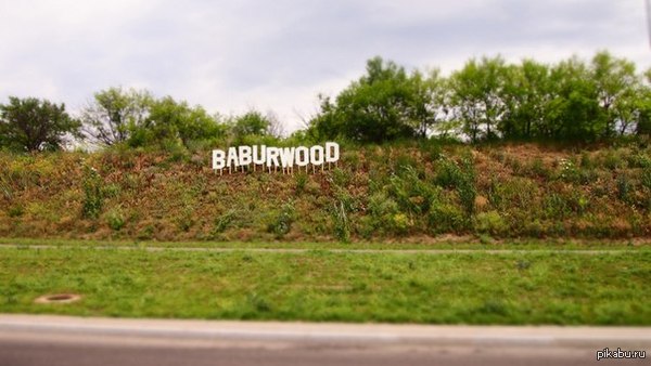 Baburwood   ,      (    )