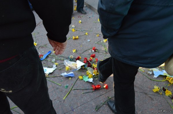 �� ���� - ������������ ������������� ����� � ������ � ������ "�������� �����" �� 40 ���� � ������.