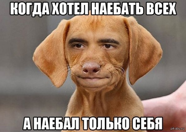 ������� �� ��������� ��