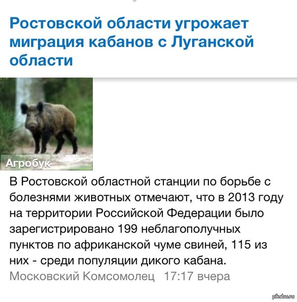 ���� ������ ����� �� �������...)