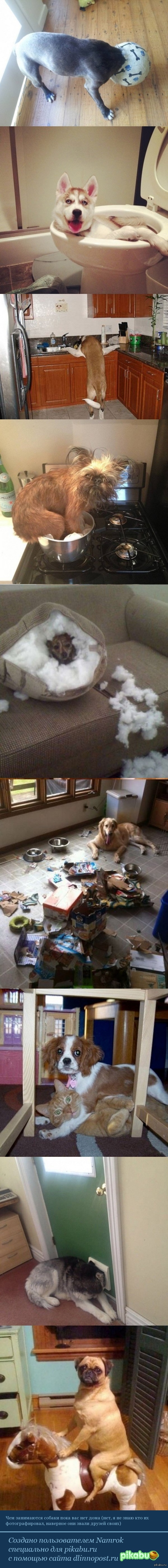 ��� ������ ������ ����� ���� ����