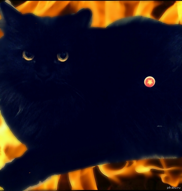 Капитан Америка буддизм edition