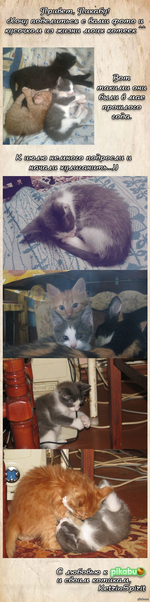 ��� ������ ))