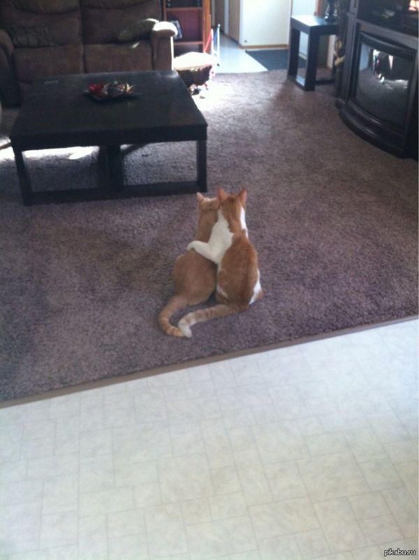 "Ты в левый тапок ссышь, а я в правый, запомнил?!"