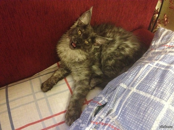     :) http://youtu.be/O34ftEMWhgg