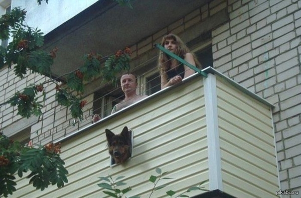 ������ � ������� ����� �������