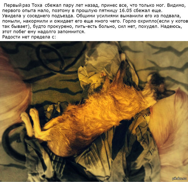 ����������� �������� ����.