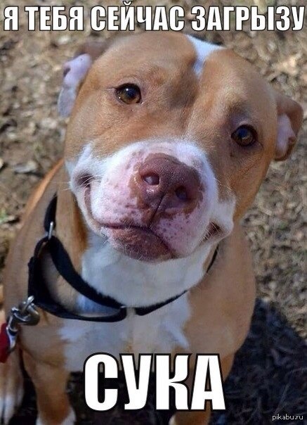 О, эта улыбка)