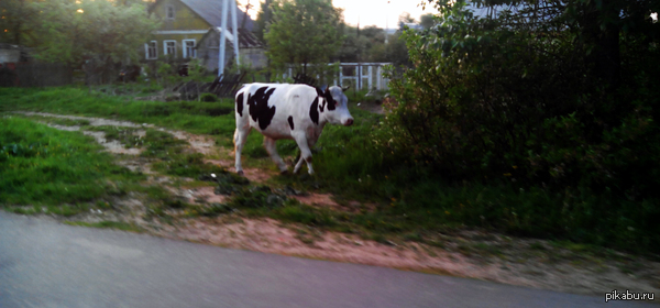 ������ �������.