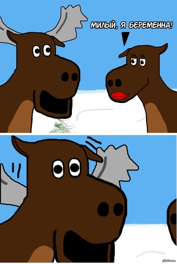 Радостная новость