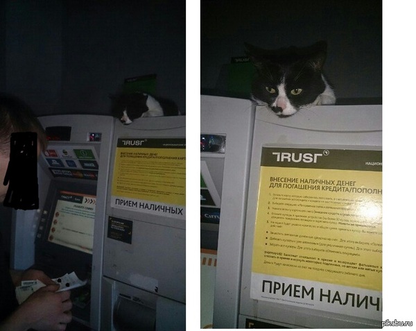 � �������� ���� ���-���, �����������!