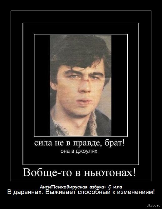 Брат ответь. В чем сила брат. Сила в правде брат. В чем сила. В чем сила брат сила в правде.