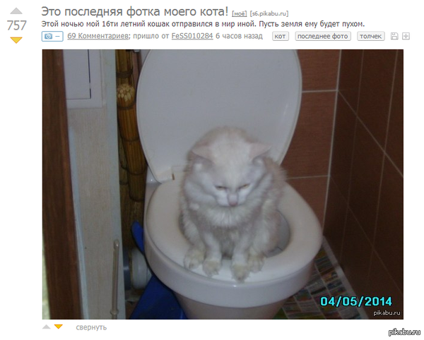           ! =/