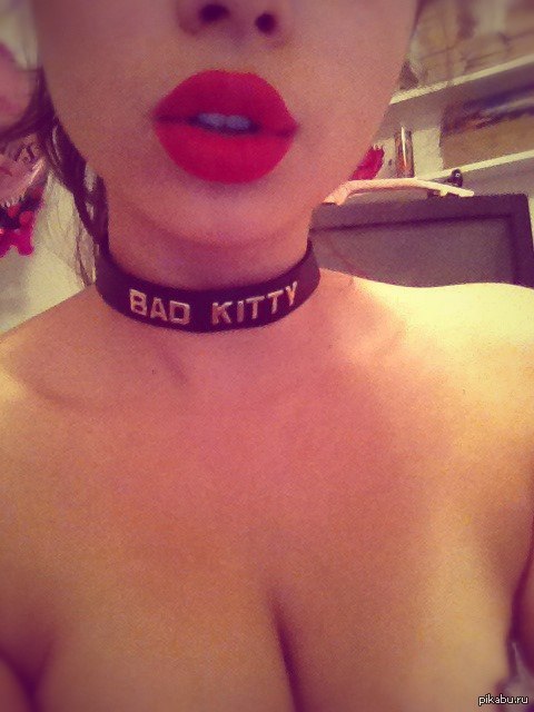 Bad Kitty