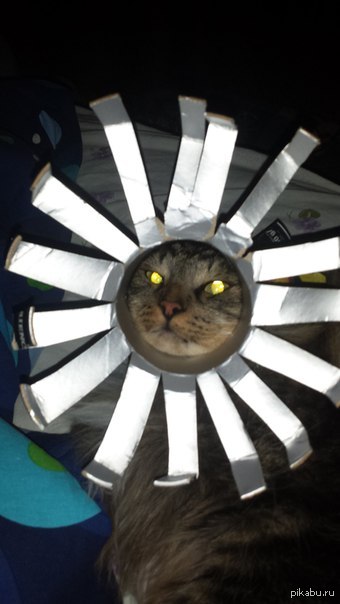 ������� ����� � �� ������