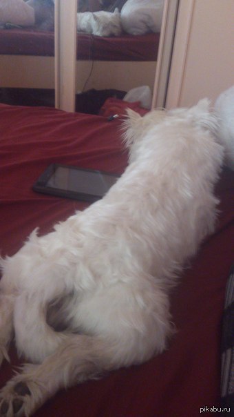 ��� �������� ��������� �������� �����.