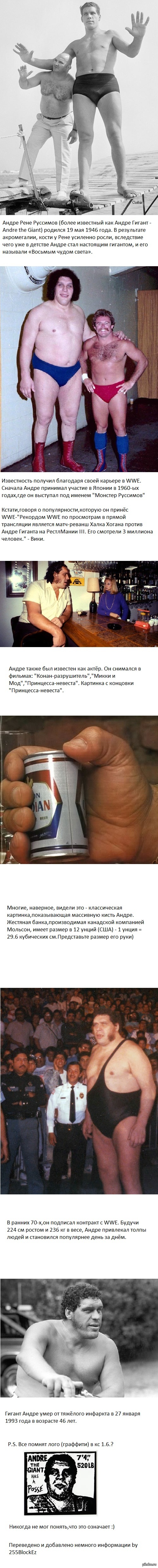 Андре Рене Руссинов