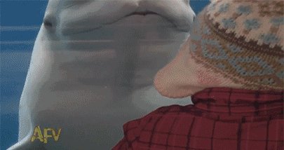 !!!