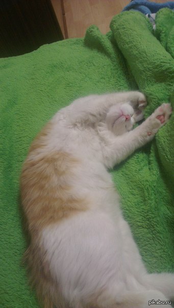 ��� ��� ��� ���� ����� ����� (: