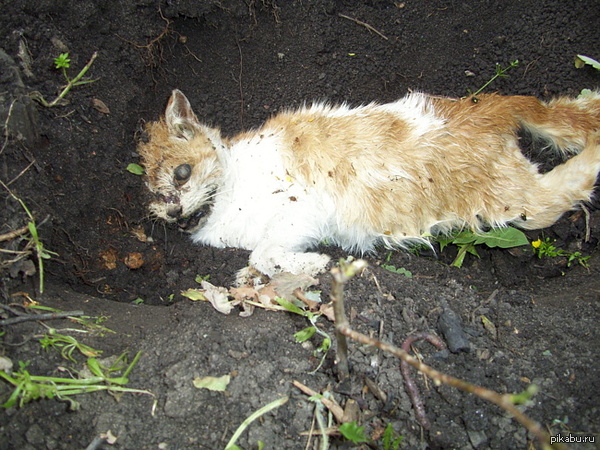 � ��� ��� ������� ����� �����, ������?