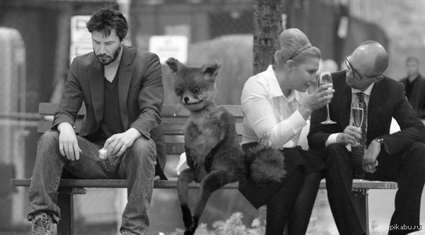 ���� � ����...