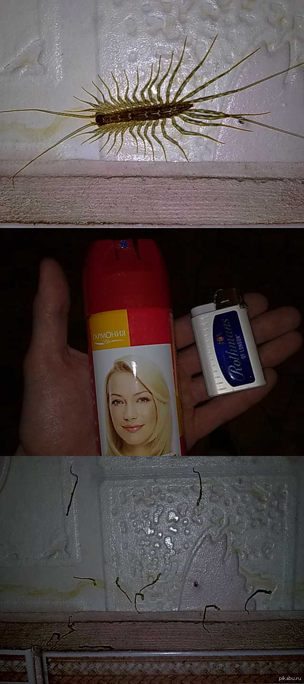 �� ������� ��� ���������� "��������� �����" �� ������ ����� � ����� ����������� ������ ���: